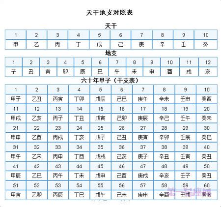 天干地支 算法|在线日期天干地支计算器